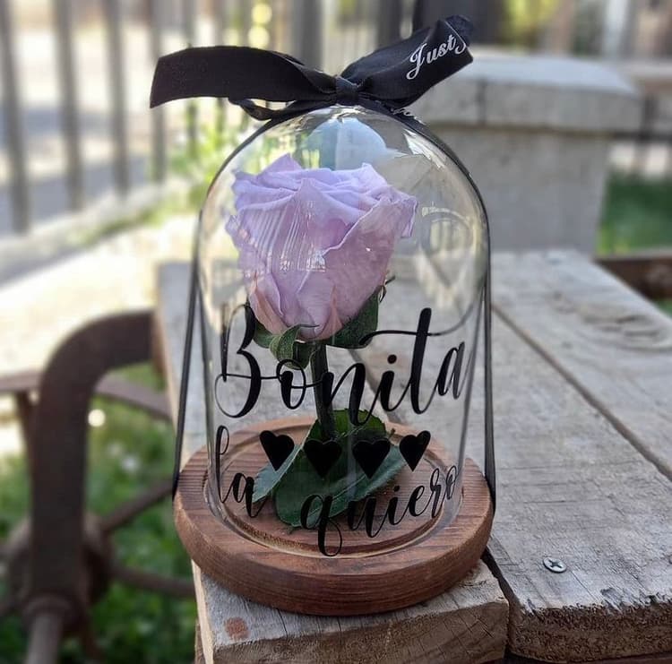 Rosa preservada (eterna) Pequeña