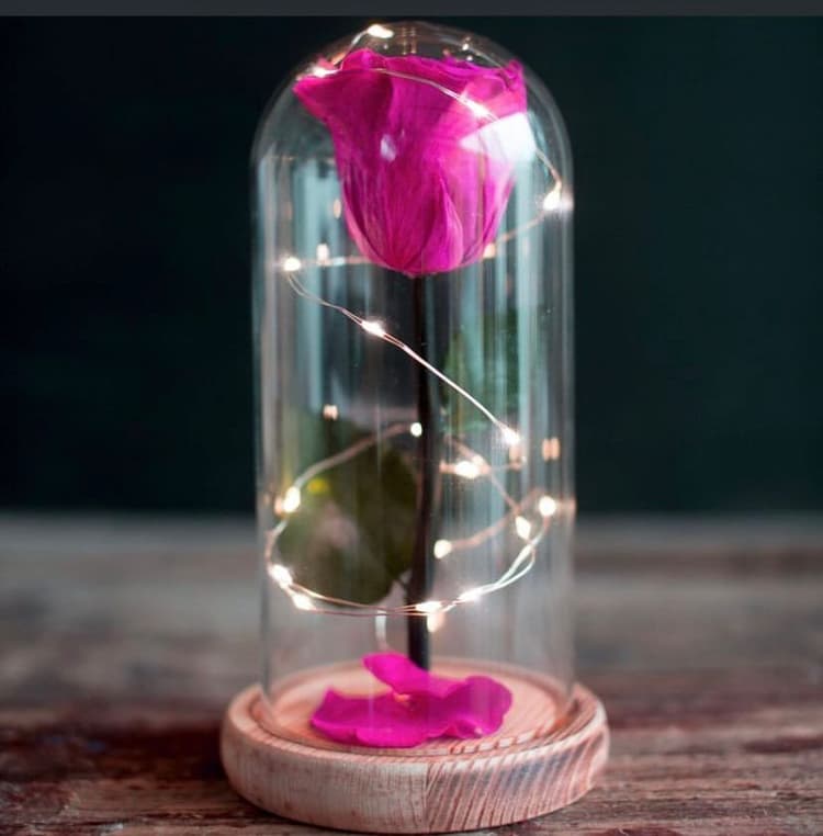 Rosa preservada (eterna) luces Mediana