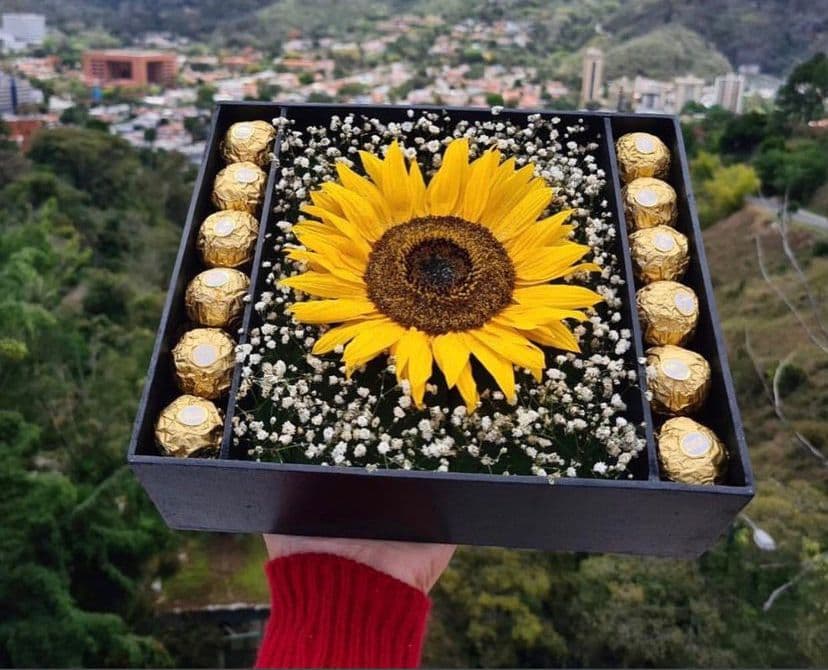 Gran girasol